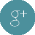 Google + copy