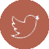 Twitter copy